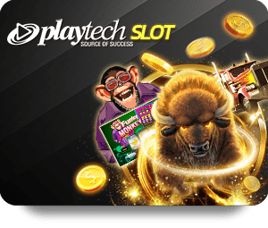 The Rise of Live Casino: Why It\